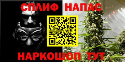 прущие грибы Донской