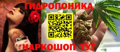 прущие грибы Донской