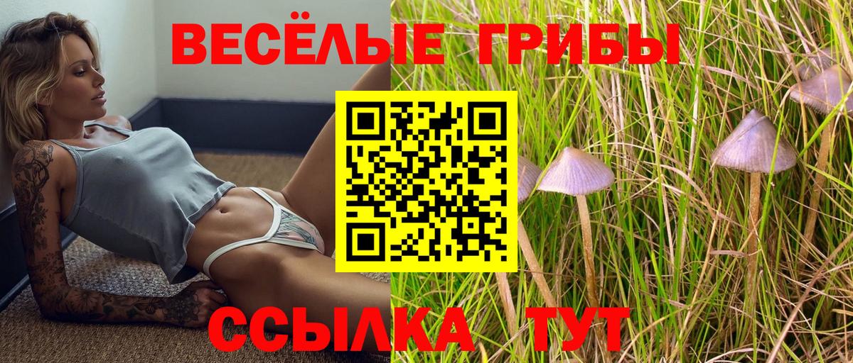 Псилоцибиновые грибы ЛСД  Вход с VPN  Междуреченск  Галлюциногенные грибы прущие грибы 